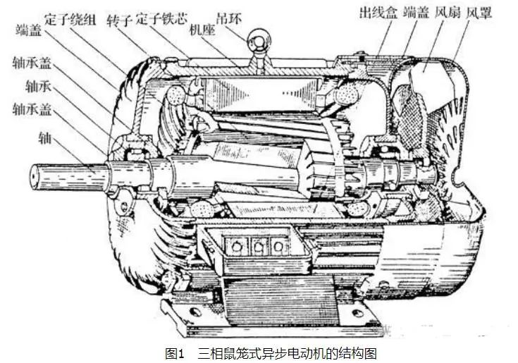 Working principle and structure of three-phase squirrel-cage motor