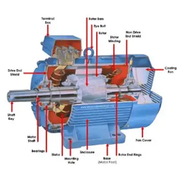 What are the types of asynchronous motors?