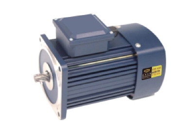 750W induction motor